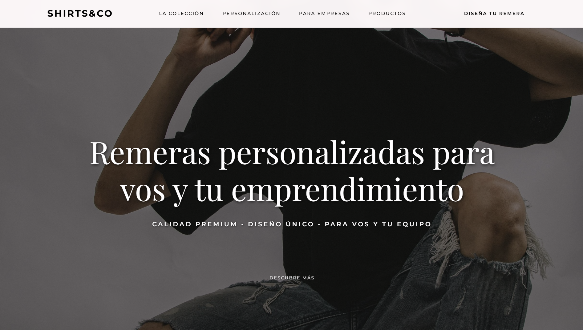 Shirts & Co Web
